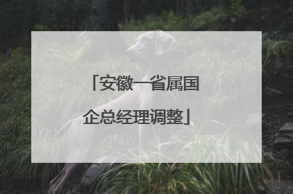 安徽一省属国企总经理调整