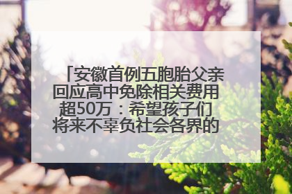 安徽首例五胞胎父亲回应高中免除相关费用超50万：希望孩子们将来不辜负社会各界的帮助与支持