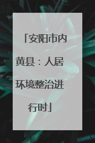 安阳市内黄县：人居环境整治进行时