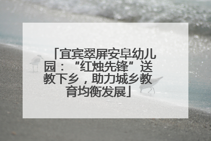 宜宾翠屏安阜幼儿园：“红烛先锋”送教下乡，助力城乡教育均衡发展
