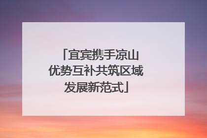 宜宾携手凉山 优势互补共筑区域发展新范式