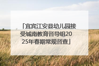 宜宾江安县幼儿园接受城南教育督导组2025年春期常规督查