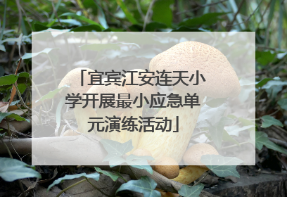 宜宾江安连天小学开展最小应急单元演练活动