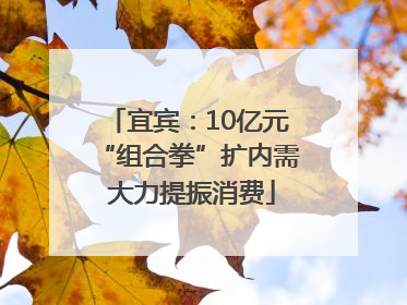 宜宾：10亿元“组合拳”扩内需 大力提振消费