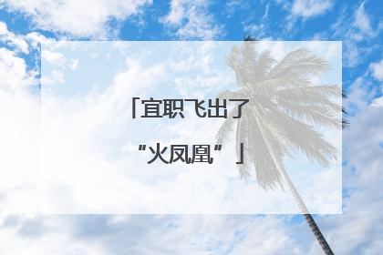 宜职飞出了“火凤凰”