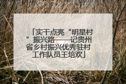 实干点亮“明星村”振兴路——记贵州省乡村振兴优秀驻村工作队员王培欢