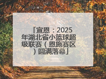 宣恩：2025年湖北省小篮球超级联赛（恩施赛区）圆满落幕