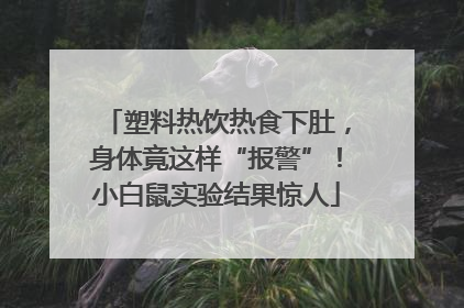 塑料热饮热食下肚，身体竟这样“报警”！小白鼠实验结果惊人