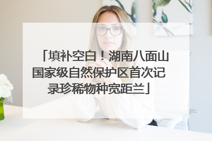 填补空白！湖南八面山国家级自然保护区首次记录珍稀物种宽距兰