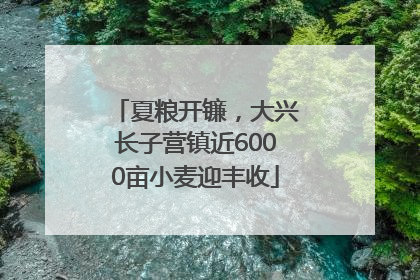 夏粮开镰，大兴长子营镇近6000亩小麦迎丰收