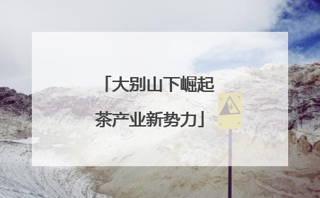 大别山下崛起茶产业新势力
