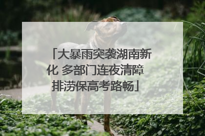 大暴雨突袭湖南新化 多部门连夜清障排涝保高考路畅
