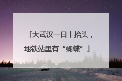 大武汉一日丨抬头，地铁站里有“蝴蝶”