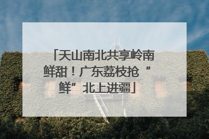 天山南北共享岭南鲜甜！广东荔枝抢“鲜”北上进疆