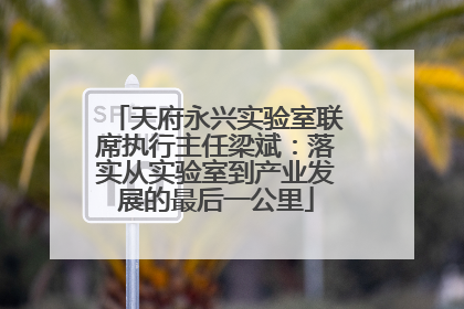 天府永兴实验室联席执行主任梁斌：落实从实验室到产业发展的最后一公里