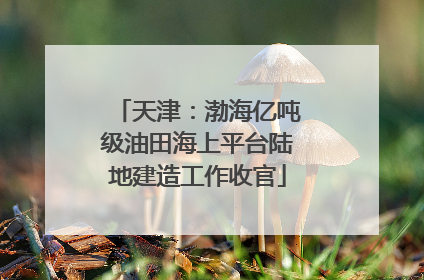 天津：渤海亿吨级油田海上平台陆地建造工作收官