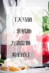 天马镇：农机助力油菜颗粒归仓