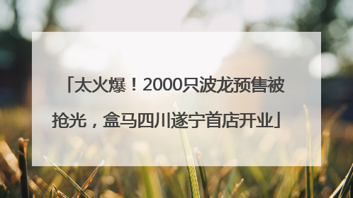 太火爆！2000只波龙预售被抢光，盒马四川遂宁首店开业