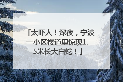 太吓人！深夜，宁波一小区楼道里惊现1.5米长大白蛇！