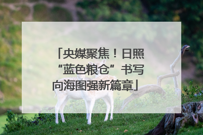 央媒聚焦！日照“蓝色粮仓”书写向海图强新篇章