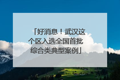 好消息！武汉这个区入选全国首批综合类典型案例