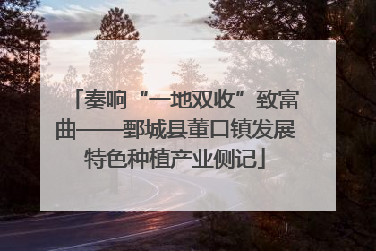 奏响“一地双收”致富曲——鄄城县董口镇发展特色种植产业侧记