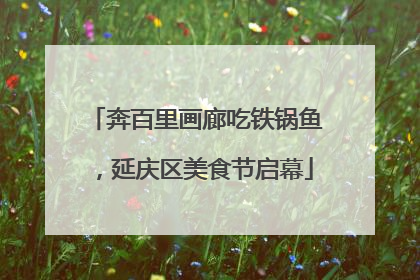 奔百里画廊吃铁锅鱼，延庆区美食节启幕