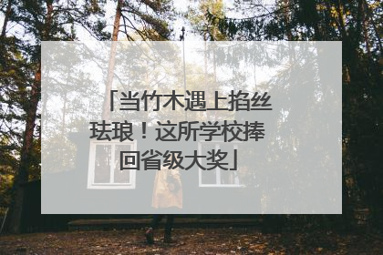 当竹木遇上掐丝珐琅！这所学校捧回省级大奖