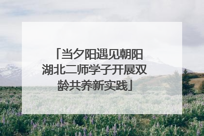 当夕阳遇见朝阳 湖北二师学子开展双龄共养新实践