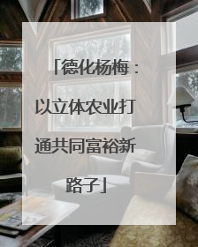 德化杨梅：以立体农业打通共同富裕新路子