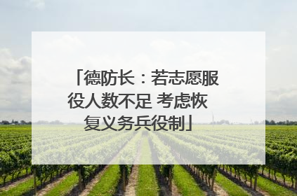 德防长：若志愿服役人数不足 考虑恢复义务兵役制