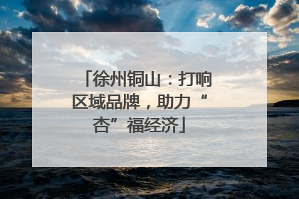 徐州铜山：打响区域品牌，助力“杏”福经济