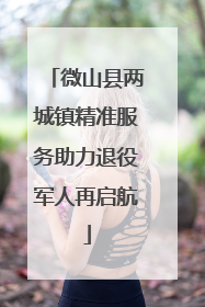 微山县两城镇精准服务助力退役军人再启航
