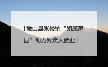 微山县张楼镇“如康家园”助力残疾人就业