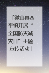 微山县西平镇开展“全国防灾减灾日”主题宣传活动