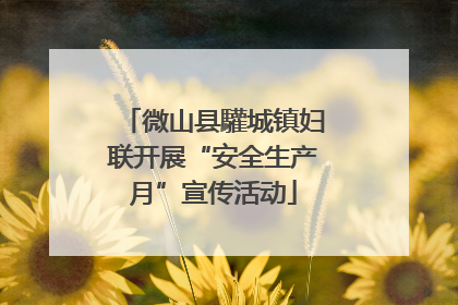 微山县驩城镇妇联开展“安全生产月”宣传活动