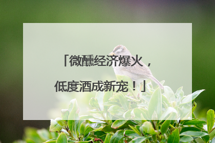 微醺经济爆火，低度酒成新宠！