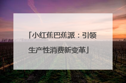 小红蕉巴蕉派：引领生产性消费新变革