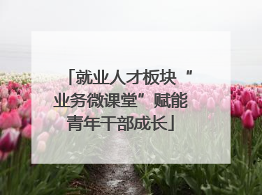 就业人才板块“业务微课堂”赋能青年干部成长