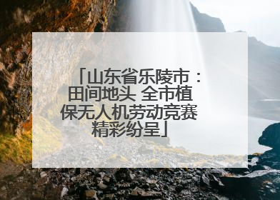 山东省乐陵市：田间地头 全市植保无人机劳动竞赛精彩纷呈