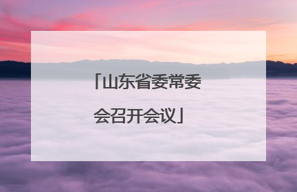 山东省委常委会召开会议