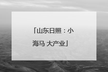 山东日照：小海马 大产业