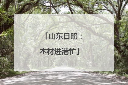山东日照：木材进港忙