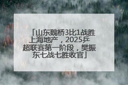 山东魏桥3比1战胜上海地产，2025乒超联赛第一阶段，樊振东七战七胜收官