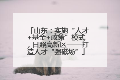 山东：实施“人才+基金+政策”模式，日照高新区——打造人才“强磁场”
