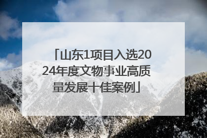 山东1项目入选2024年度文物事业高质量发展十佳案例