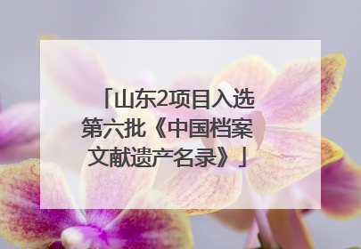 山东2项目入选第六批《中国档案文献遗产名录》