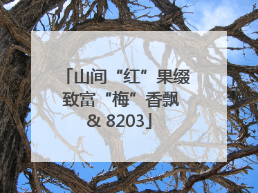 山间“红”果缀 致富“梅”香飘& 8203