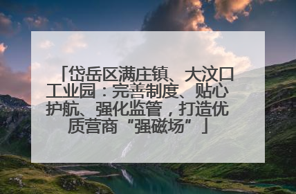 岱岳区满庄镇、大汶口工业园：完善制度、贴心护航、强化监管，打造优质营商“强磁场”