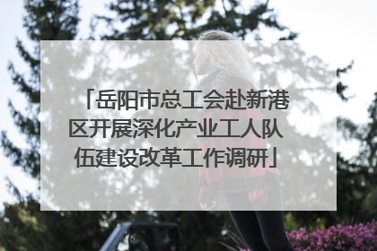 岳阳市总工会赴新港区开展深化产业工人队伍建设改革工作调研